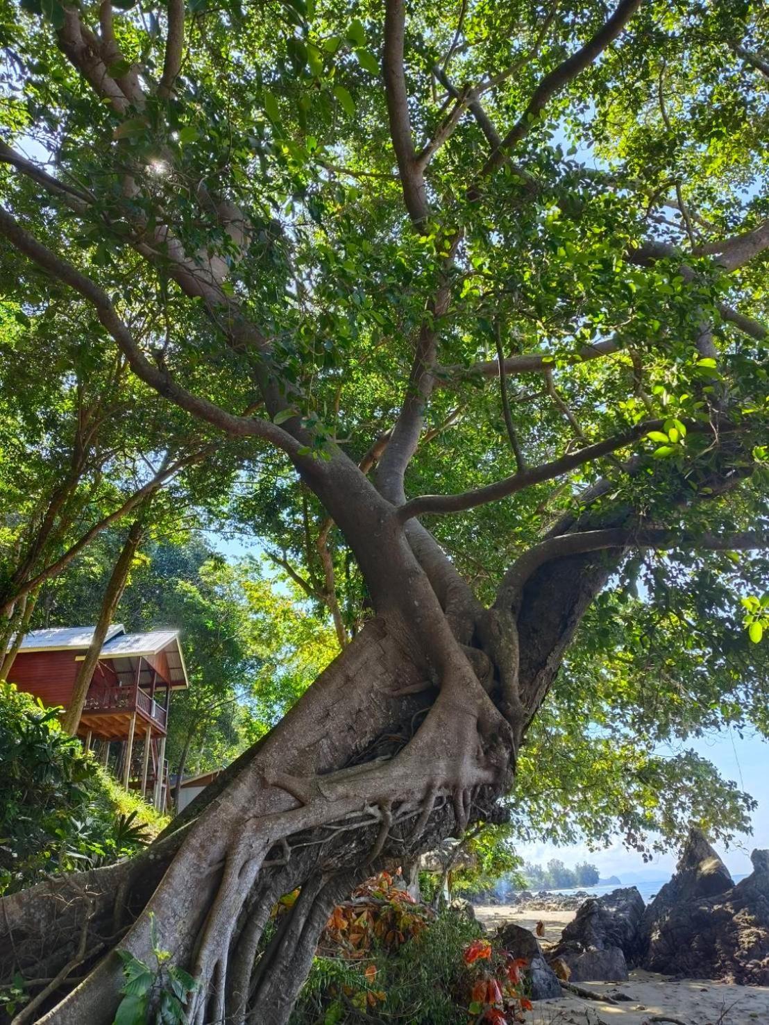 Kohjum Seafront Resort Koh Jum Dış mekan fotoğraf